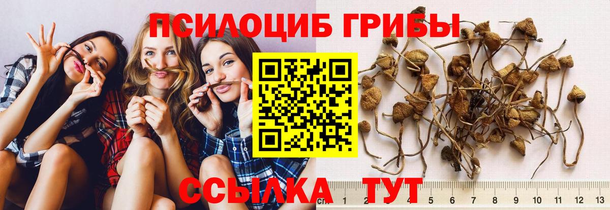Псилоцибиновые грибы GOLDEN TEACHER  Вход с VPN  Галлюциногенные грибы Cubensis  Лянтор 
